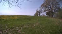 The field cam, May 11, 2024 at 7:57am