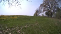 The field cam, May 11, 2024 at 8:53am