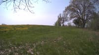 The field cam, May 11, 2024 at 8:59am