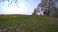 The field cam, May 11, 2024 at 9:02am
