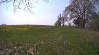 The field cam, May 11, 2024 at 9:15am