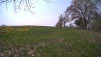 The field cam, May 11, 2024 at 9:16am