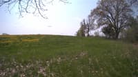 The field cam, May 11, 2024 at 9:53am