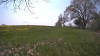The field cam, May 11, 2024 at 10:11am
