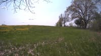 The field cam, May 11, 2024 at 10:15am