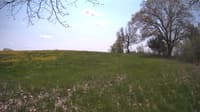 The field cam, May 11, 2024 at 10:54am