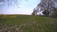 The field cam, May 11, 2024 at 11:01am