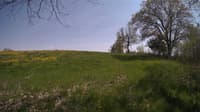 The field cam, May 11, 2024 at 1:01pm