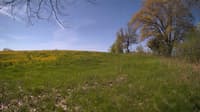 The field cam, May 12, 2024 at 7:58am