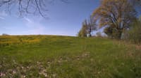 The field cam, May 12, 2024 at 8:06am