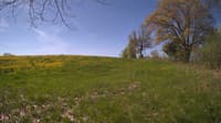 The field cam, May 12, 2024 at 8:07am