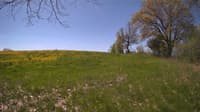 The field cam, May 12, 2024 at 9:10am