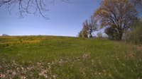 The field cam, May 12, 2024 at 9:13am