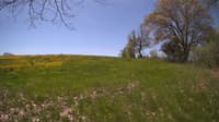 The field cam, May 12, 2024 at 9:42am
