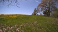The field cam, May 12, 2024 at 9:45am