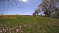 The field cam, May 12, 2024 at 10:54am