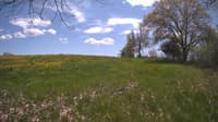 The field cam, May 12, 2024 at 11:29am