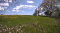 The field cam, May 12, 2024 at 11:36am