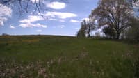 The field cam, May 12, 2024 at 11:39am