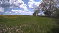 The field cam, May 12, 2024 at 12:00pm