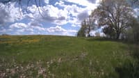 The field cam, May 12, 2024 at 12:07pm