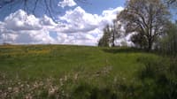 The field cam, May 12, 2024 at 12:43pm