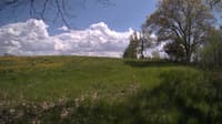 The field cam, May 12, 2024 at 1:03pm