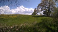 The field cam, May 12, 2024 at 1:05pm