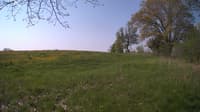 The field cam, May 13, 2024 at 7:17am