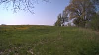 The field cam, May 13, 2024 at 7:24am