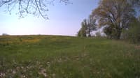 The field cam, May 13, 2024 at 8:25am