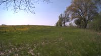 The field cam, May 13, 2024 at 8:44am