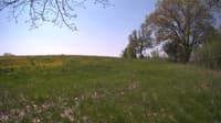 The field cam, May 13, 2024 at 9:22am