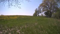 The field cam, May 13, 2024 at 9:46am