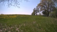 The field cam, May 13, 2024 at 9:58am
