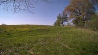 The field cam, May 14, 2024 at 7:08am