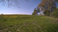 The field cam, May 14, 2024 at 7:21am
