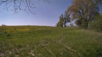 The field cam, May 14, 2024 at 7:57am