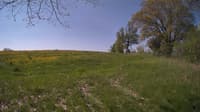 The field cam, May 14, 2024 at 8:04am