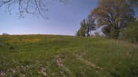 The field cam, May 14, 2024 at 8:05am