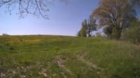 The field cam, May 14, 2024 at 8:09am