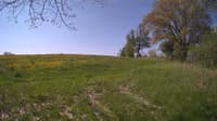 The field cam, May 14, 2024 at 8:10am