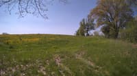 The field cam, May 14, 2024 at 8:40am
