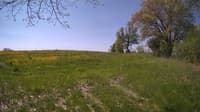 The field cam, May 14, 2024 at 8:48am