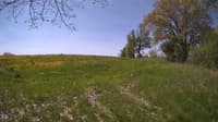 The field cam, May 14, 2024 at 9:08am