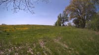 The field cam, May 14, 2024 at 9:14am