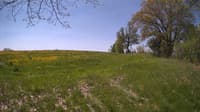 The field cam, May 14, 2024 at 9:20am
