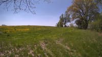 The field cam, May 14, 2024 at 9:37am