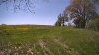 The field cam, May 14, 2024 at 9:46am