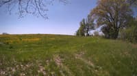 The field cam, May 14, 2024 at 9:48am